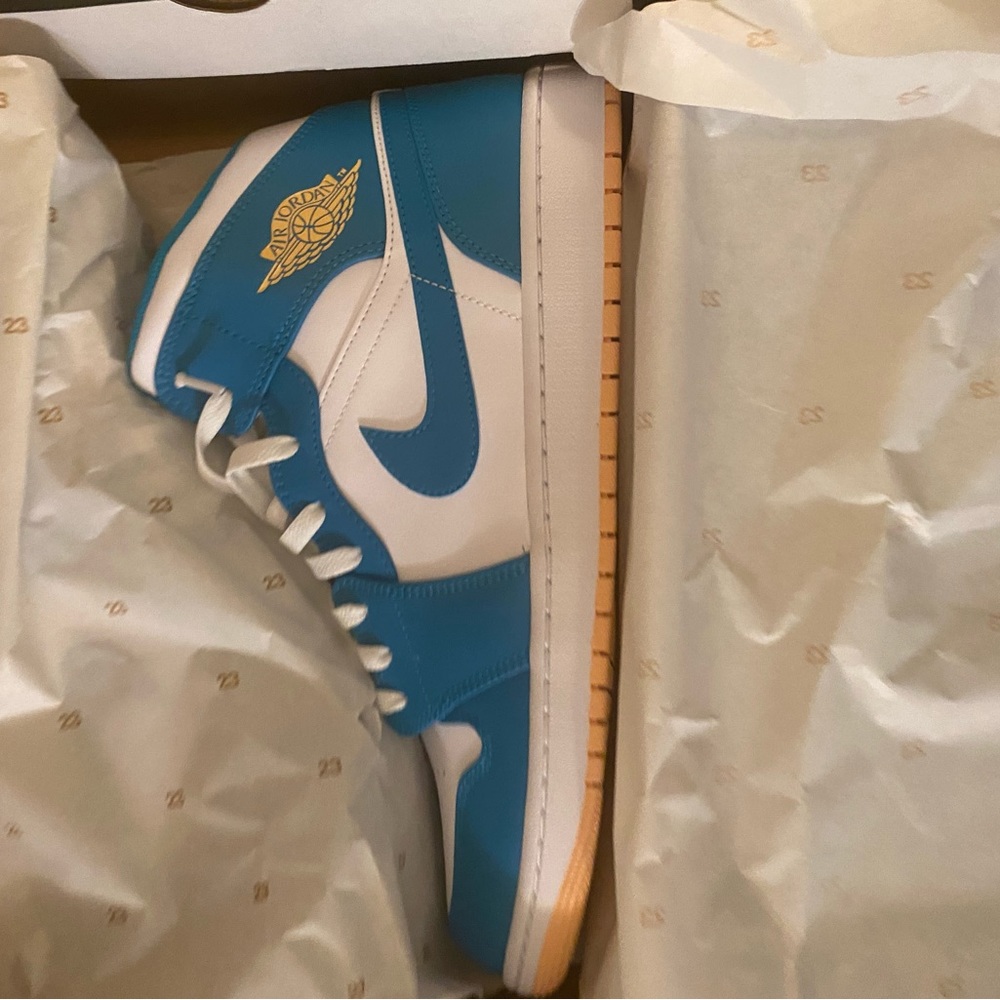 Air Jordan 1